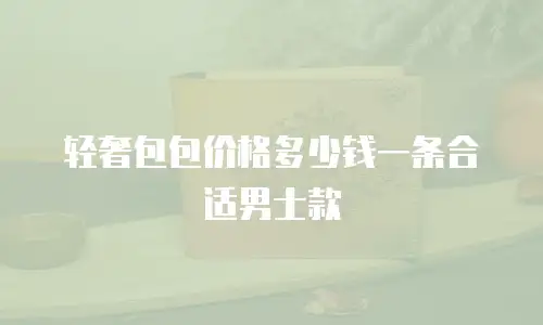 轻奢包包价格多少钱一条合适男士款