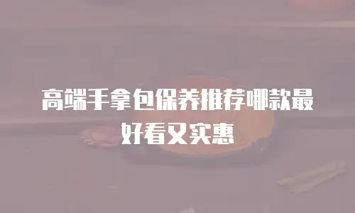 高端手拿包保养推荐哪款最好看又实惠
