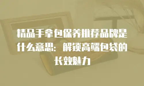精品手拿包保养推荐品牌是什么意思：解锁高端包袋的长效魅力