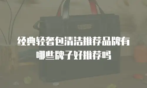 经典轻奢包清洁推荐品牌有哪些牌子好推荐吗