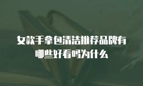 女款手拿包清洁推荐品牌有哪些好看吗为什么