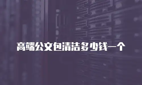 高端公文包清洁多少钱一个