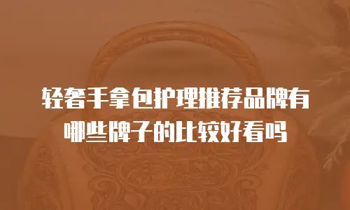 轻奢手拿包护理推荐品牌有哪些牌子的比较好看吗