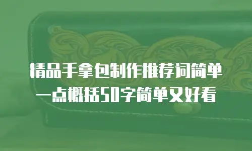 精品手拿包制作推荐词简单一点概括50字简单又好看