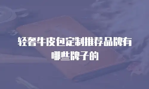 轻奢牛皮包定制推荐品牌有哪些牌子的