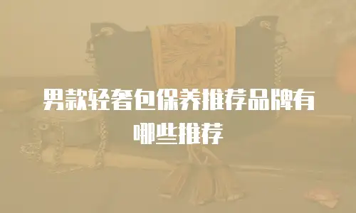 男款轻奢包保养推荐品牌有哪些推荐