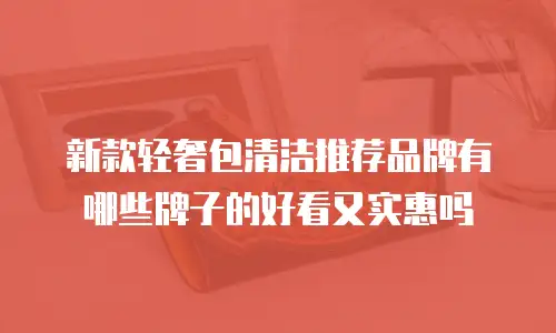 新款轻奢包清洁推荐品牌有哪些牌子的好看又实惠吗