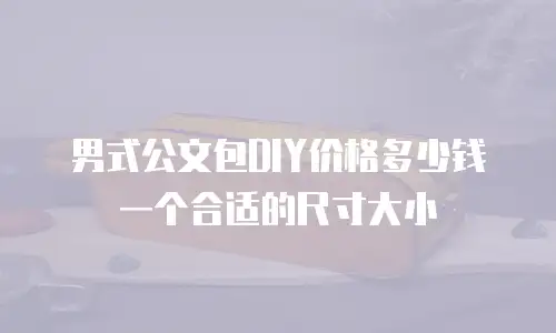 男式公文包DIY价格多少钱一个合适的尺寸大小
