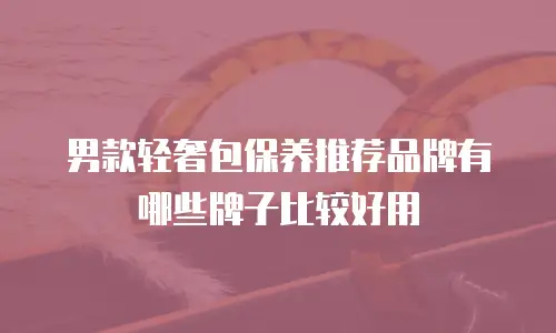 男款轻奢包保养推荐品牌有哪些牌子比较好用