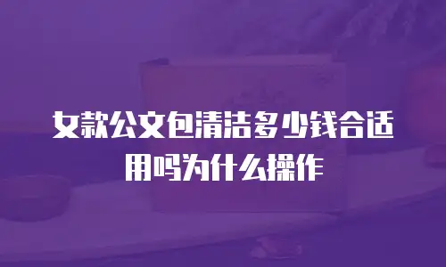 女款公文包清洁多少钱合适用吗为什么操作