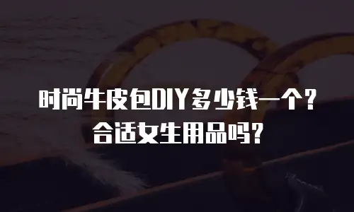 时尚牛皮包DIY多少钱一个？合适女生用品吗？