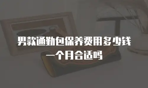 男款通勤包保养费用多少钱一个月合适吗