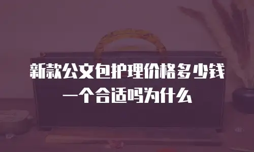 新款公文包护理价格多少钱一个合适吗为什么