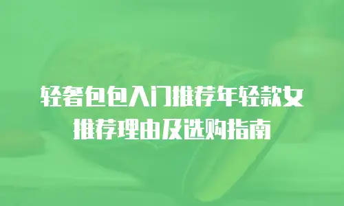 轻奢包包入门推荐年轻款女推荐理由及选购指南