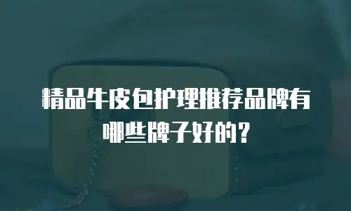 精品牛皮包护理推荐品牌有哪些牌子好的？