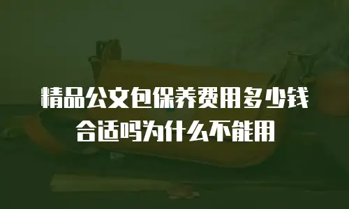 精品公文包保养费用多少钱合适吗为什么不能用