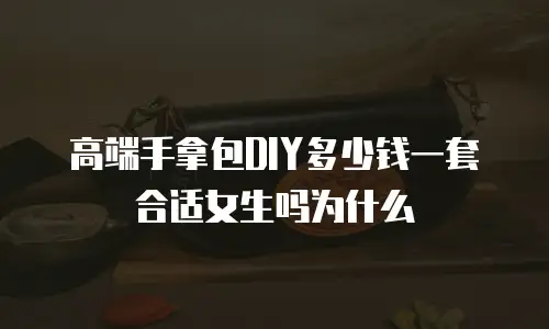 高端手拿包DIY多少钱一套合适女生吗为什么