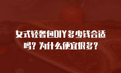 女式轻奢包DIY多少钱合适吗？为什么便宜很多？