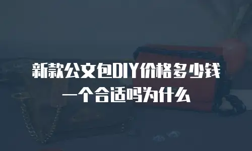 新款公文包DIY价格多少钱一个合适吗为什么