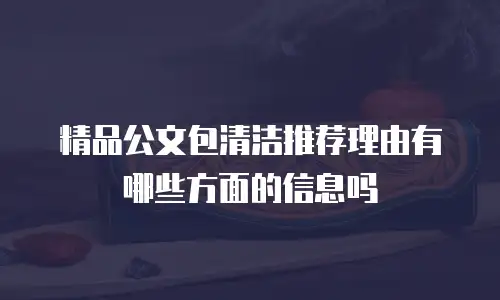 精品公文包清洁推荐理由有哪些方面的信息吗
