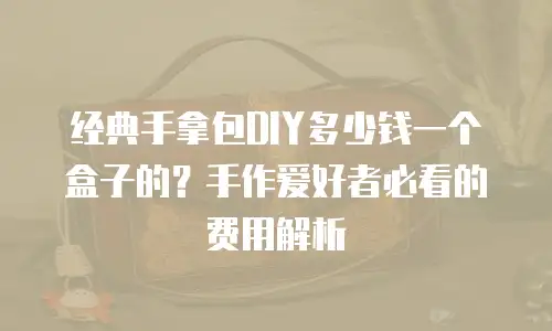 经典手拿包DIY多少钱一个盒子的？手作爱好者必看的费用解析