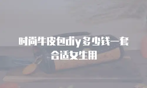 时尚牛皮包diy多少钱一套合适女生用