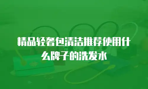 精品轻奢包清洁推荐使用什么牌子的洗发水