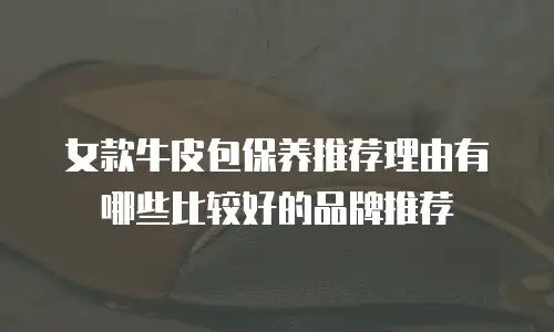 女款牛皮包保养推荐理由有哪些比较好的品牌推荐