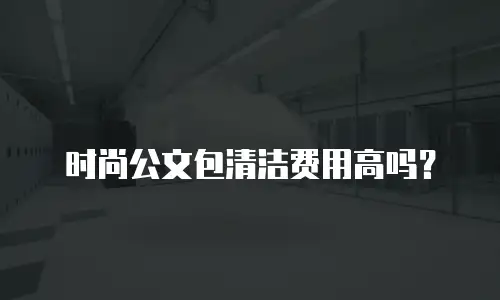 时尚公文包清洁费用高吗？