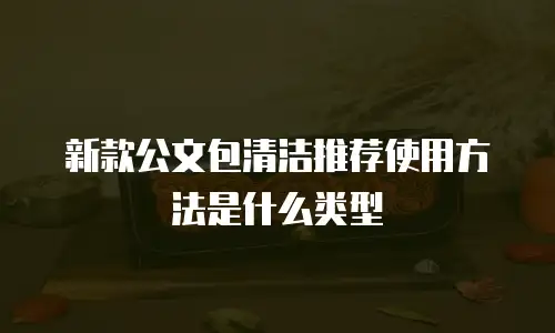 新款公文包清洁推荐使用方法是什么类型