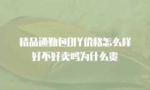 精品通勤包DIY价格怎么样好不好卖吗为什么贵