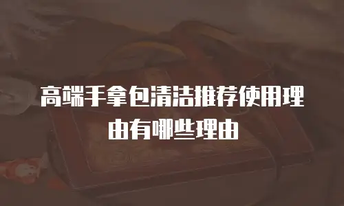 高端手拿包清洁推荐使用理由有哪些理由