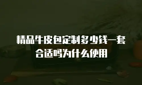 精品牛皮包定制多少钱一套合适吗为什么使用