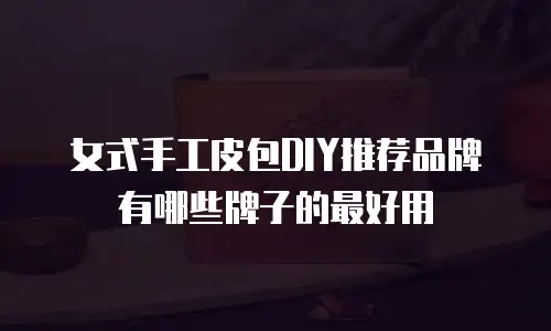 女式手工皮包DIY推荐品牌有哪些牌子的最好用