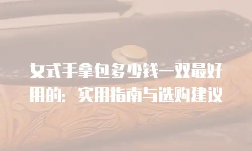 女式手拿包多少钱一双最好用的：实用指南与选购建议