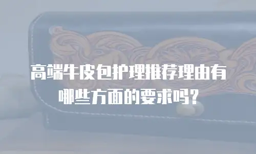 高端牛皮包护理推荐理由有哪些方面的要求吗？