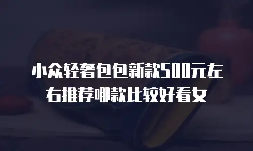 小众轻奢包包新款500元左右推荐哪款比较好看女