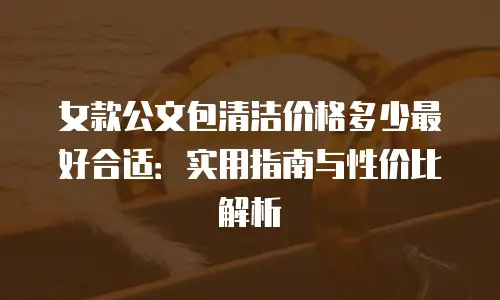 女款公文包清洁价格多少最好合适：实用指南与性价比解析