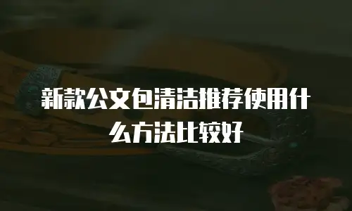新款公文包清洁推荐使用什么方法比较好