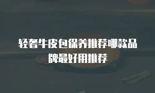 轻奢牛皮包保养推荐哪款品牌最好用推荐