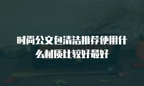 时尚公文包清洁推荐使用什么材质比较好最好