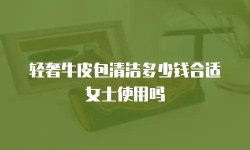 轻奢牛皮包清洁多少钱合适女士使用吗