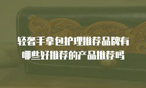 轻奢手拿包护理推荐品牌有哪些好推荐的产品推荐吗
