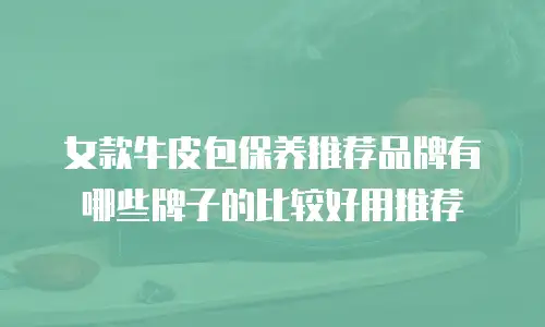 女款牛皮包保养推荐品牌有哪些牌子的比较好用推荐