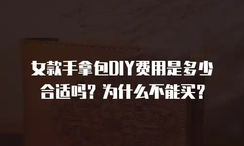 女款手拿包DIY费用是多少合适吗？为什么不能买？