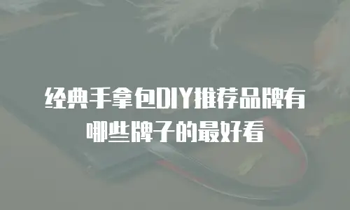 经典手拿包DIY推荐品牌有哪些牌子的最好看