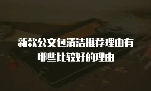 新款公文包清洁推荐理由有哪些比较好的理由