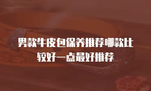 男款牛皮包保养推荐哪款比较好一点最好推荐