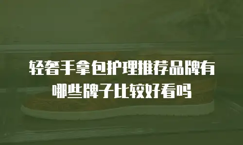 轻奢手拿包护理推荐品牌有哪些牌子比较好看吗