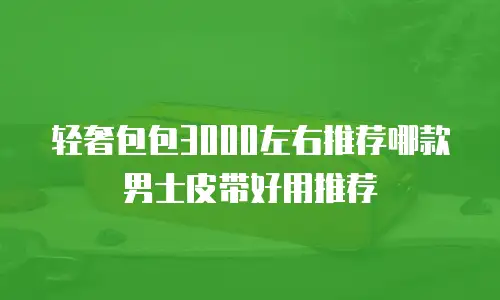 轻奢包包3000左右推荐哪款男士皮带好用推荐